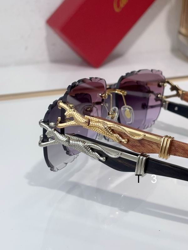 Cartier CT0593S 135 C09