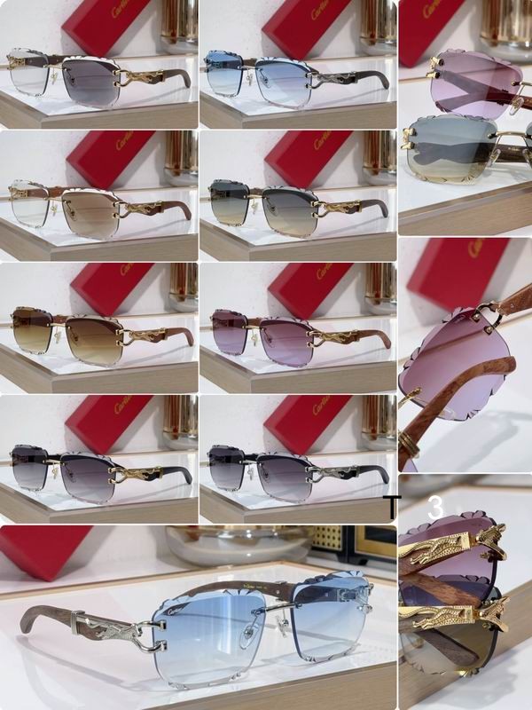 Cartier CT0593S 135 C10