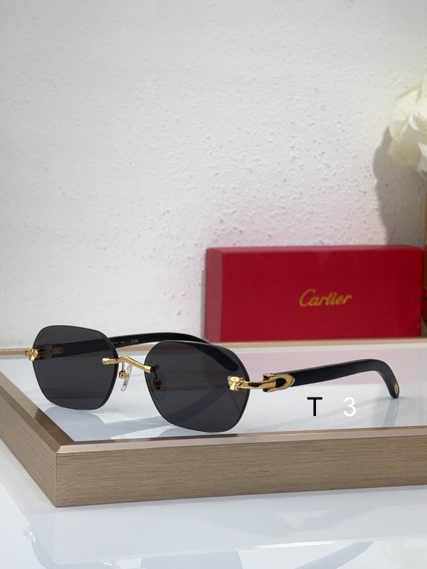 Cartier CT0611S 60 18 143 c01