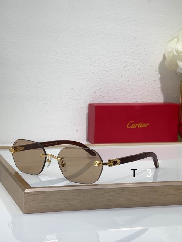 Cartier CT0611S 60 18 143 c03