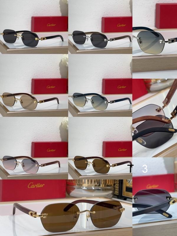 Cartier CT0611S 60 18 143 c10