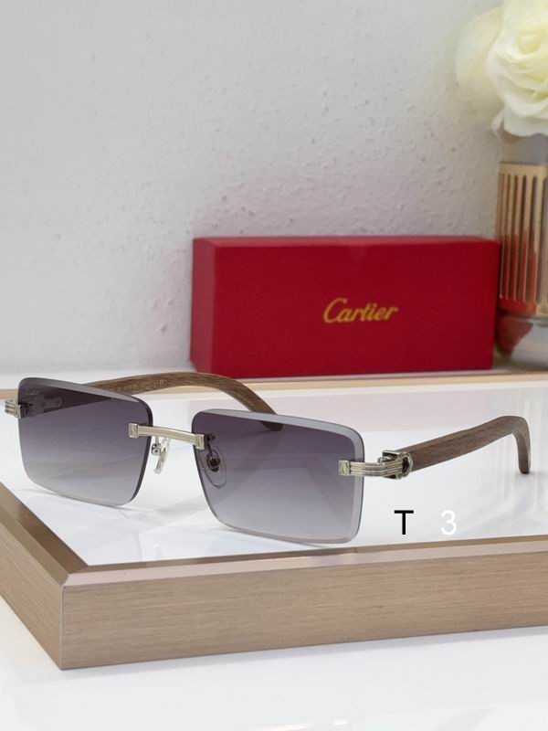 Cartier CT0619S 55 19-130 c01
