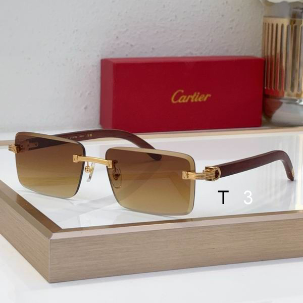 Cartier CT0619S 55 19-130 c02
