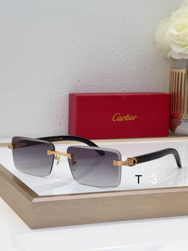 Cartier CT0619S 55 19-130 c04