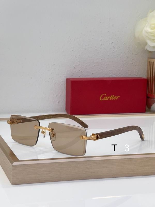 Cartier CT0619S 55 19-130 c05