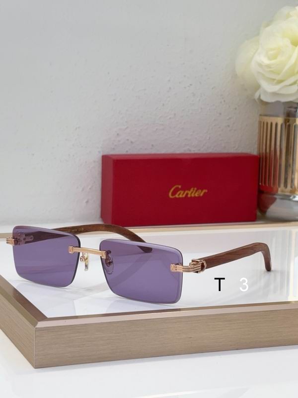 Cartier CT0619S 55 19-130 c06