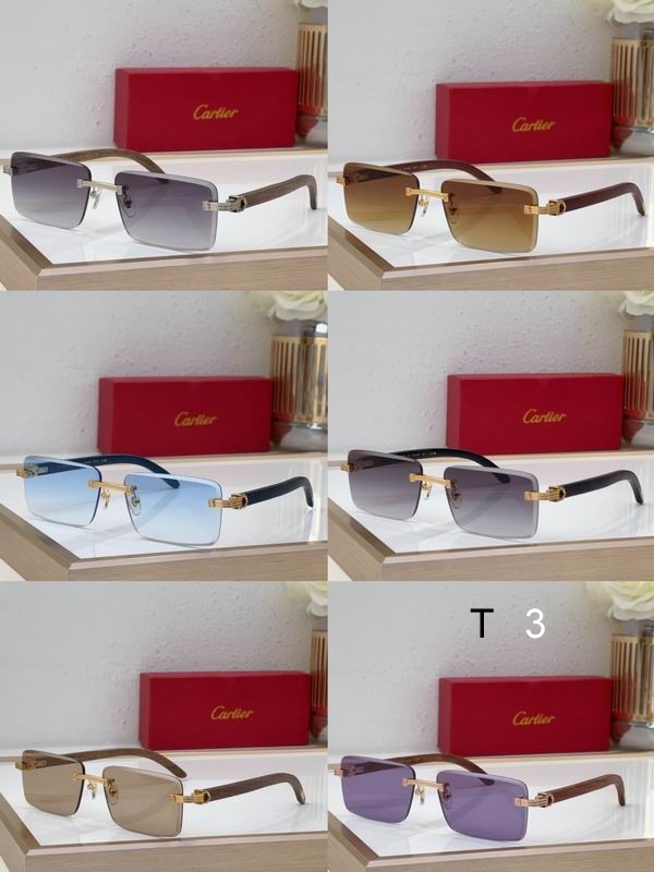 Cartier CT0619S 55 19-130 c10