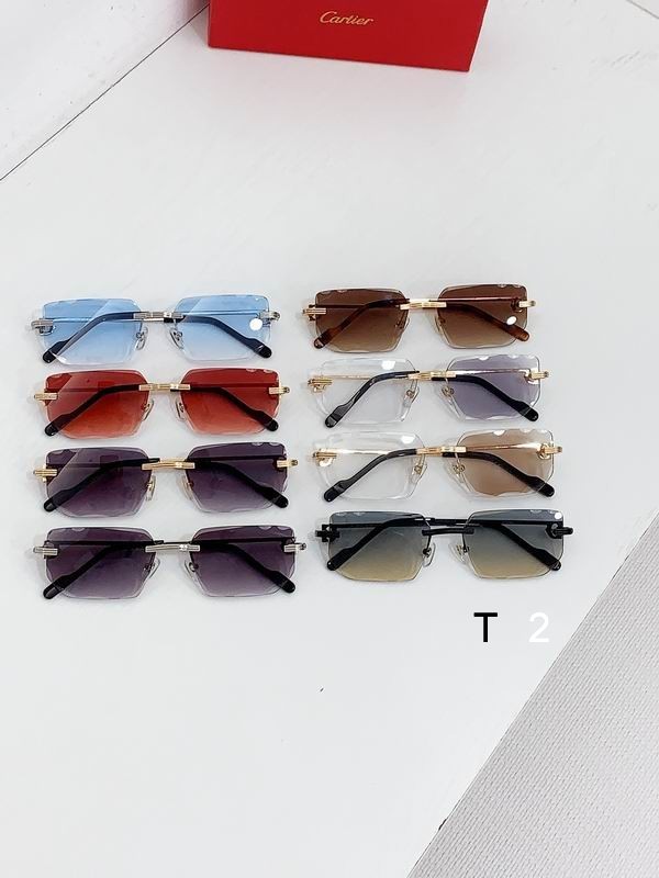 Cartier CT0627S 58 17 b09