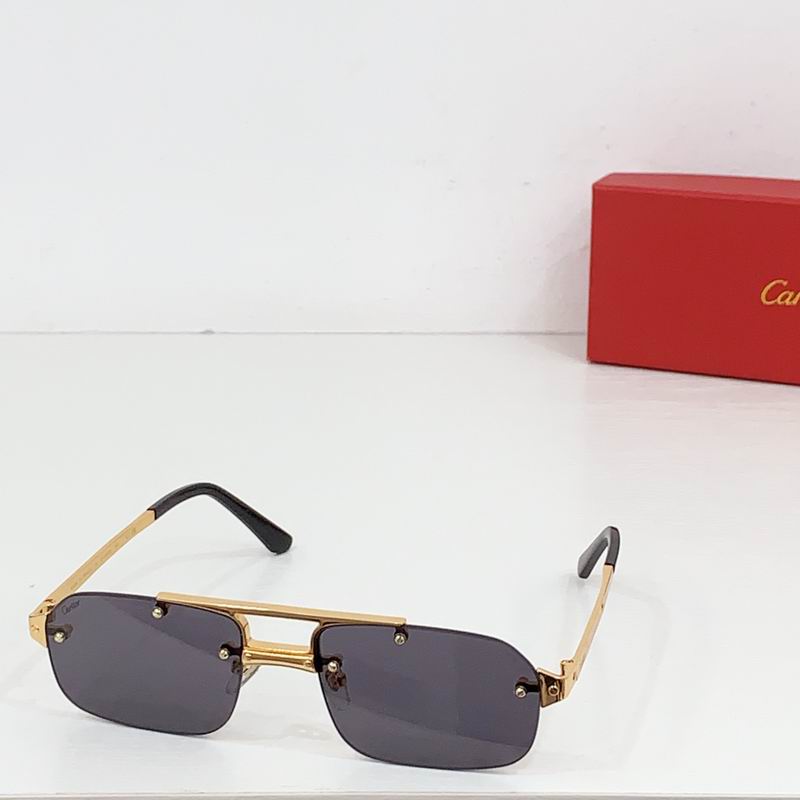 Cartier CT0660S 57 19-143 b03