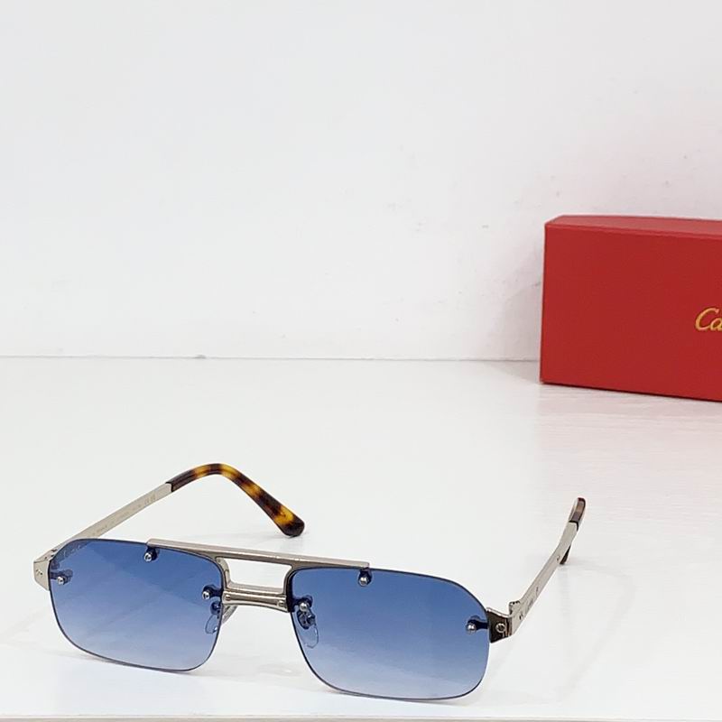 Cartier CT0660S 57 19-143 b04