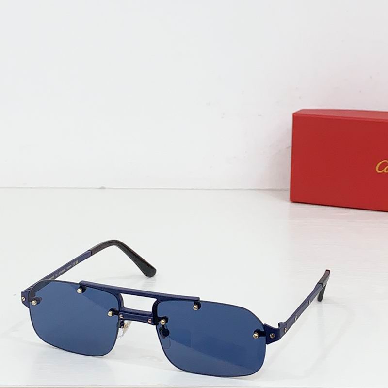 Cartier CT0660S 57 19-143 b05