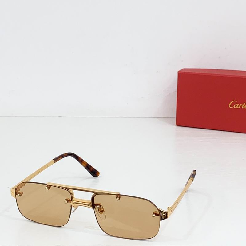Cartier CT0660S 57 19-143 b06