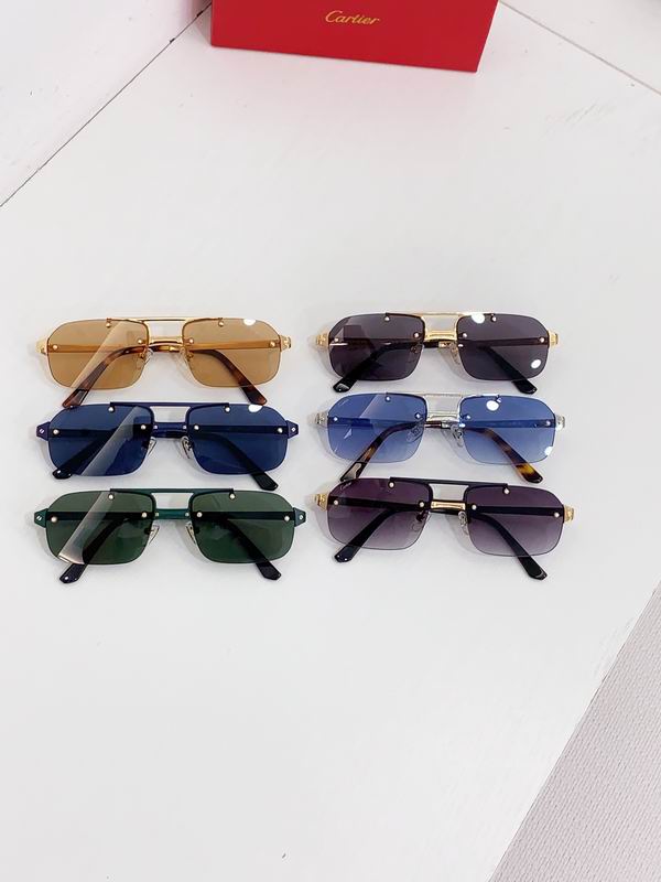 Cartier CT0660S 57 19-143 b09