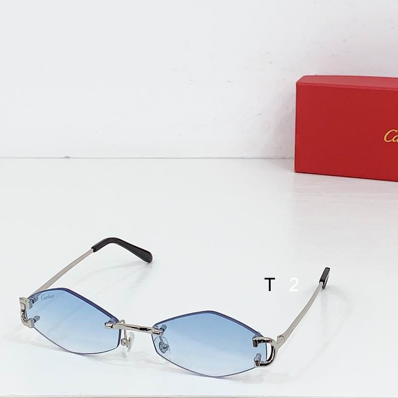Cartier CT8100359 48 27-135 b01