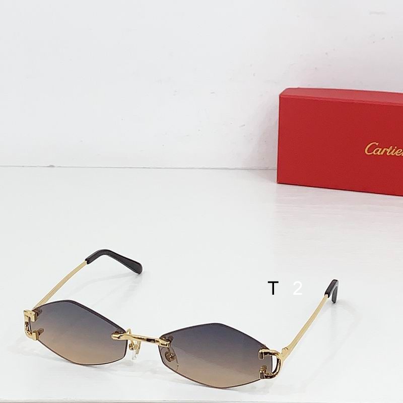 Cartier CT8100359 48 27-135 b02