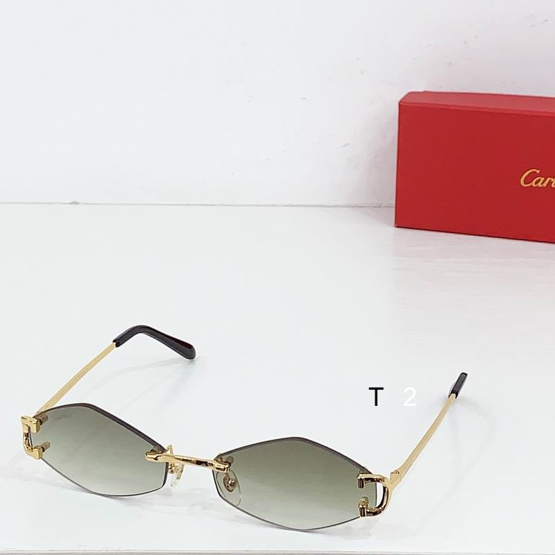 Cartier CT8100359 48 27-135 b03