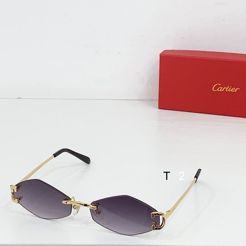 Cartier CT8100359 48 27-135 b05