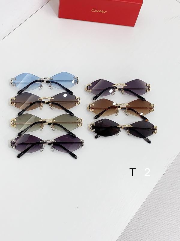 Cartier CT8100359 48 27-135 b09