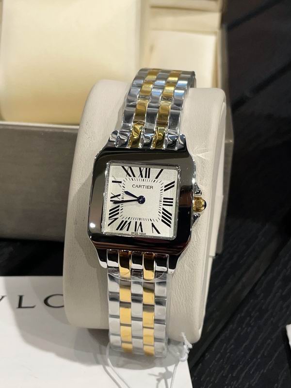 Cartier M26X36mm S21X28mm 101 (1)