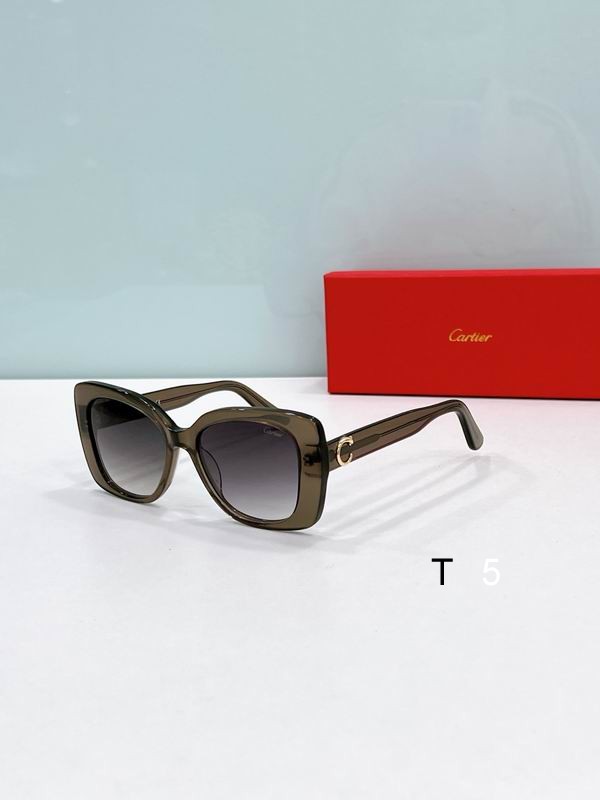 Cartier T0438O 54-20-140 F04