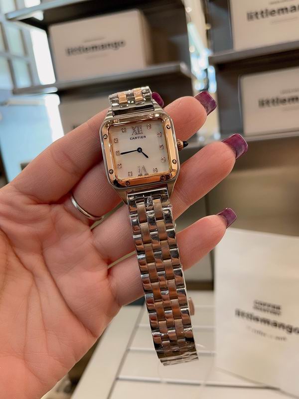 Cartier watch 45 (16)