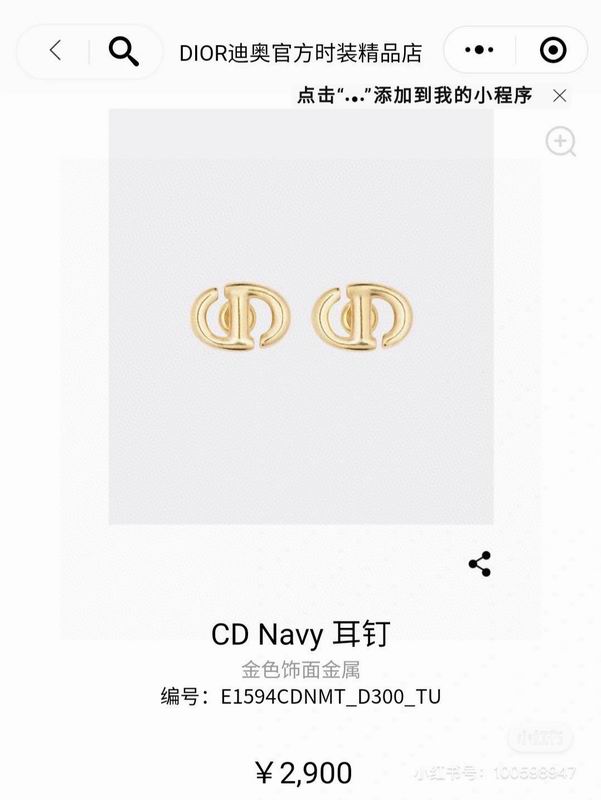 Dior Earring 03lyh279 (3)