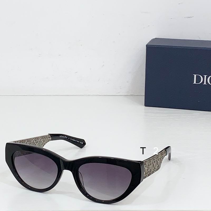 Dior Resi 55 21 140 b04