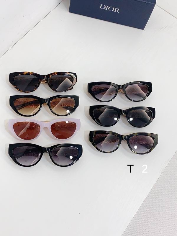 Dior Resi 55 21 140 b09