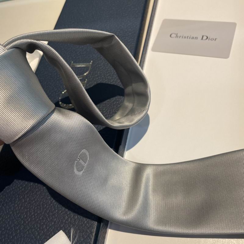Dior Tie hm (106)