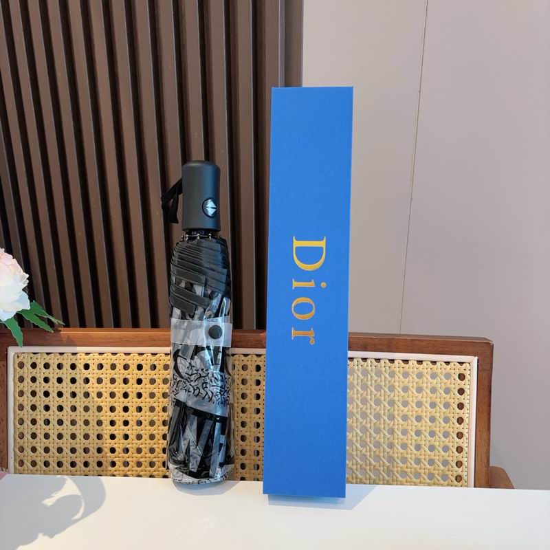 Dior Umbrella (82)