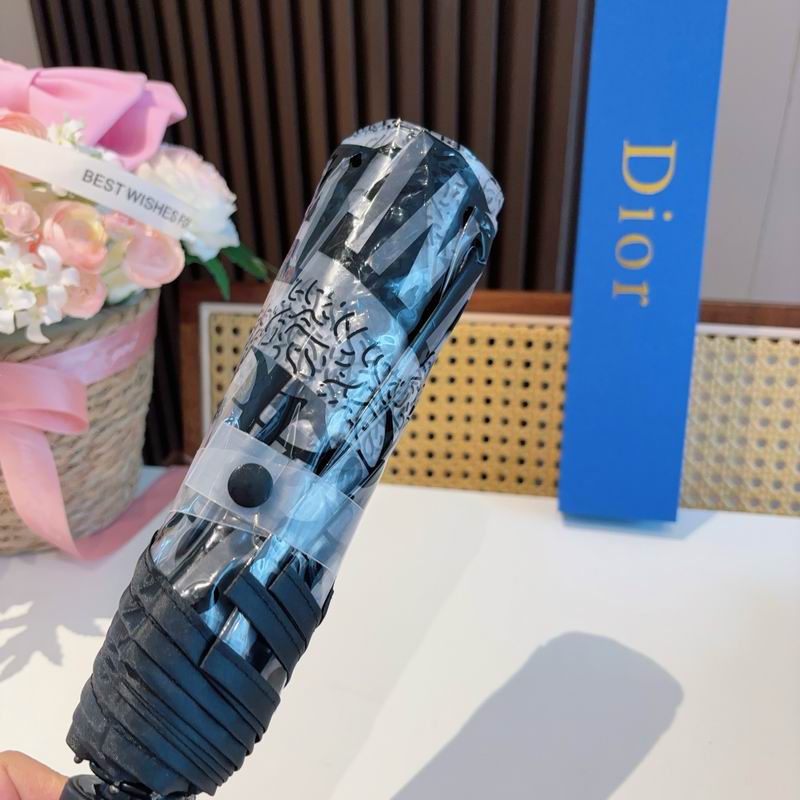 Dior Umbrella (83)