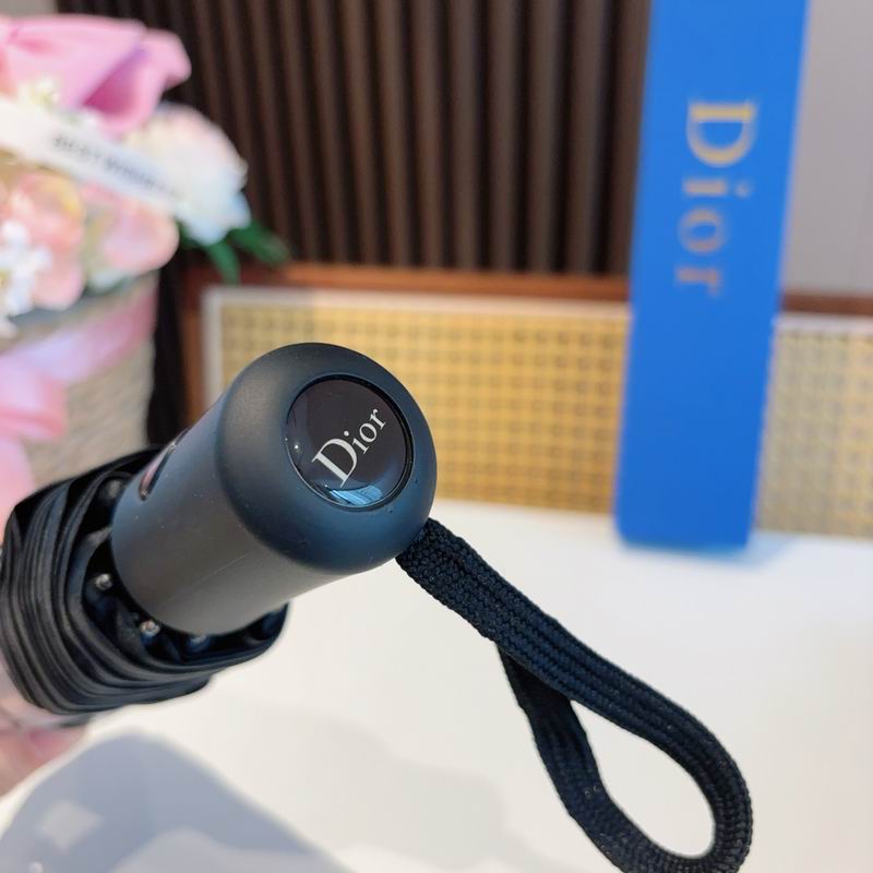 Dior Umbrella (84)