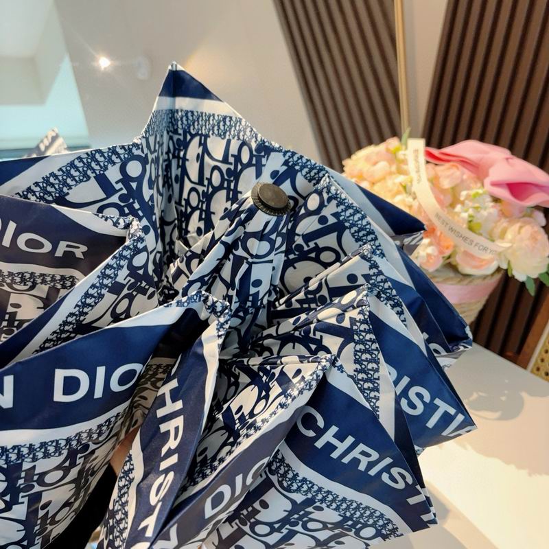 Dior Umbrella 54 (14)