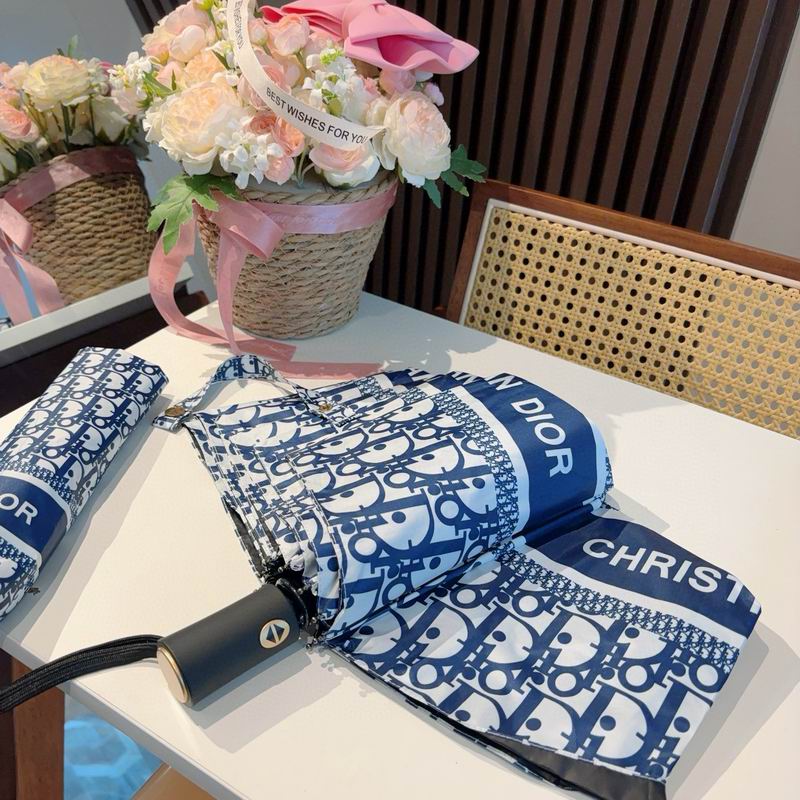 Dior Umbrella 54 (15)