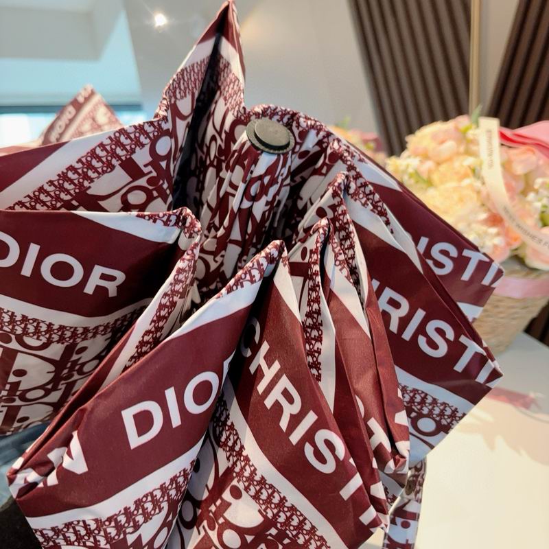 Dior Umbrella 54 (23)