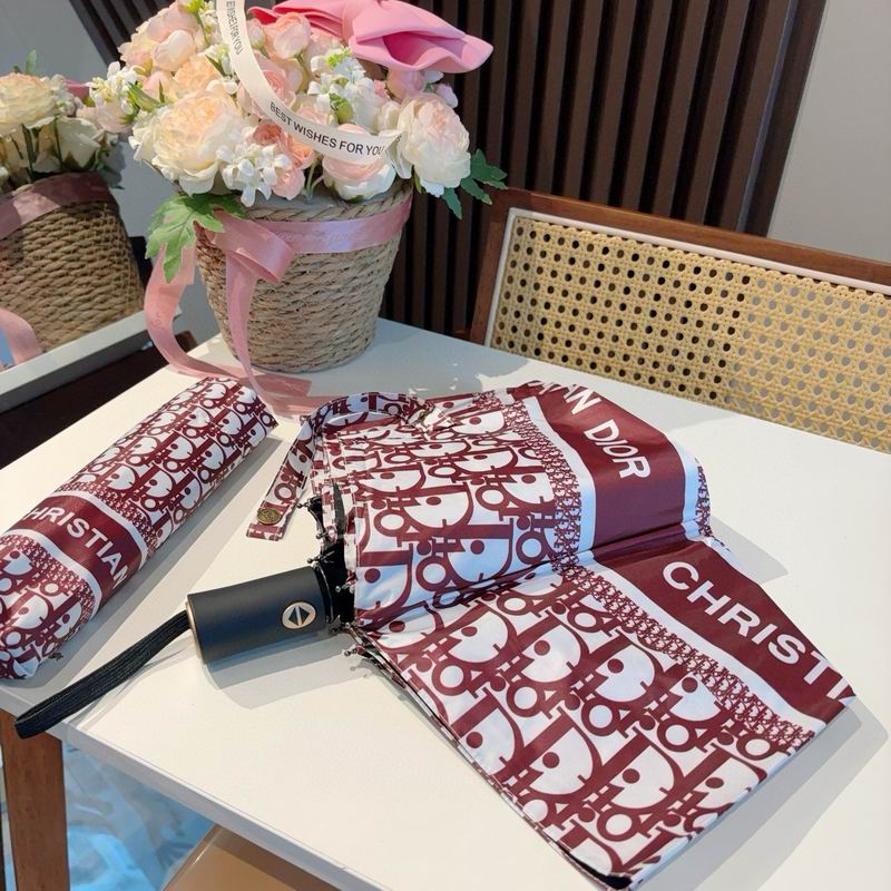 Dior Umbrella 54 (24)