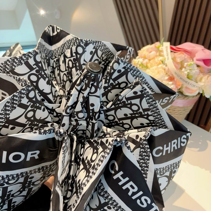 Dior Umbrella 54 (5)