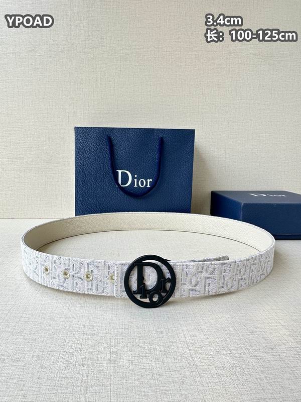 Dior belt 34mmX100-125cm 8L (14)