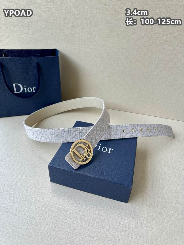 Dior belt 34mmX100-125cm 8L (17)