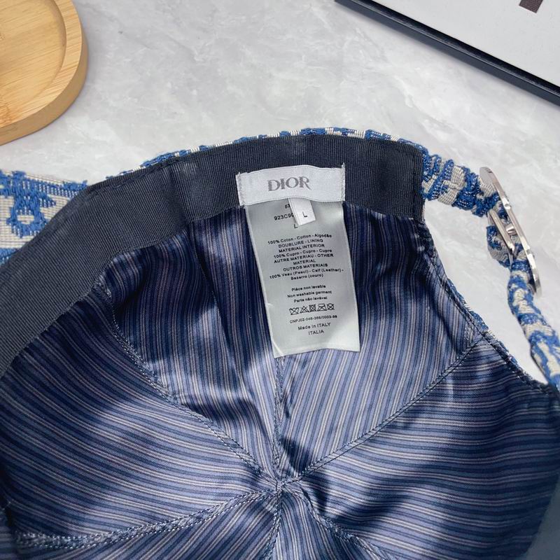 Dior cap（高版本）dx (29)