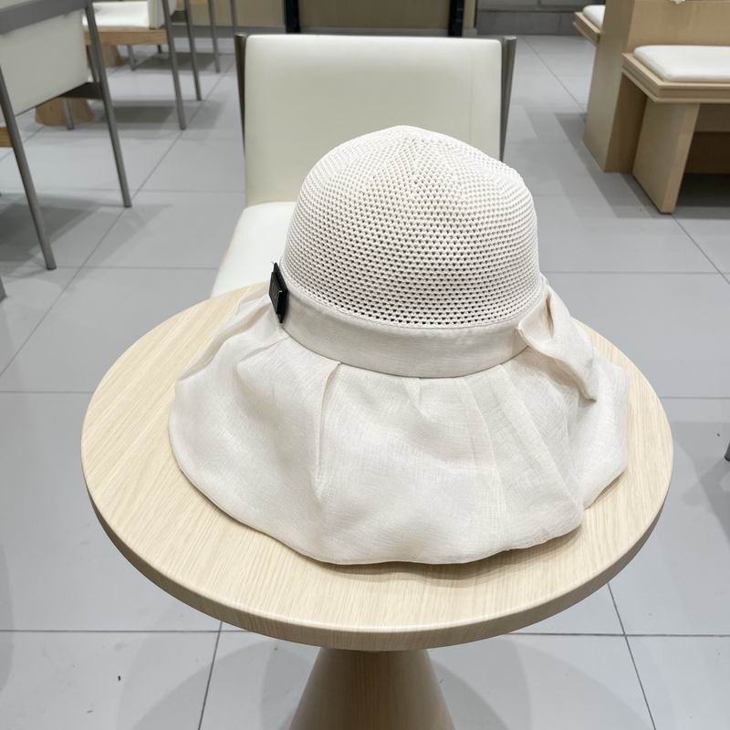 Dior hat (100)