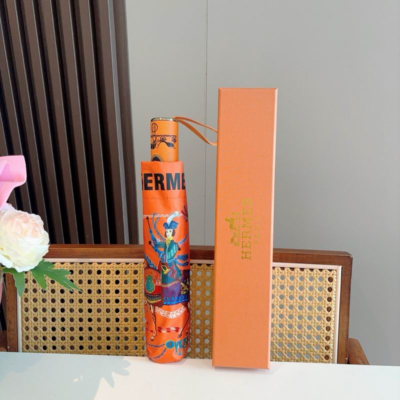 Hermes Umbrella (10)