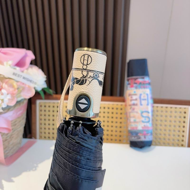 Hermes Umbrella (103)