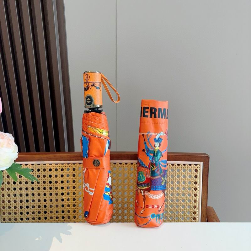 Hermes Umbrella (11)