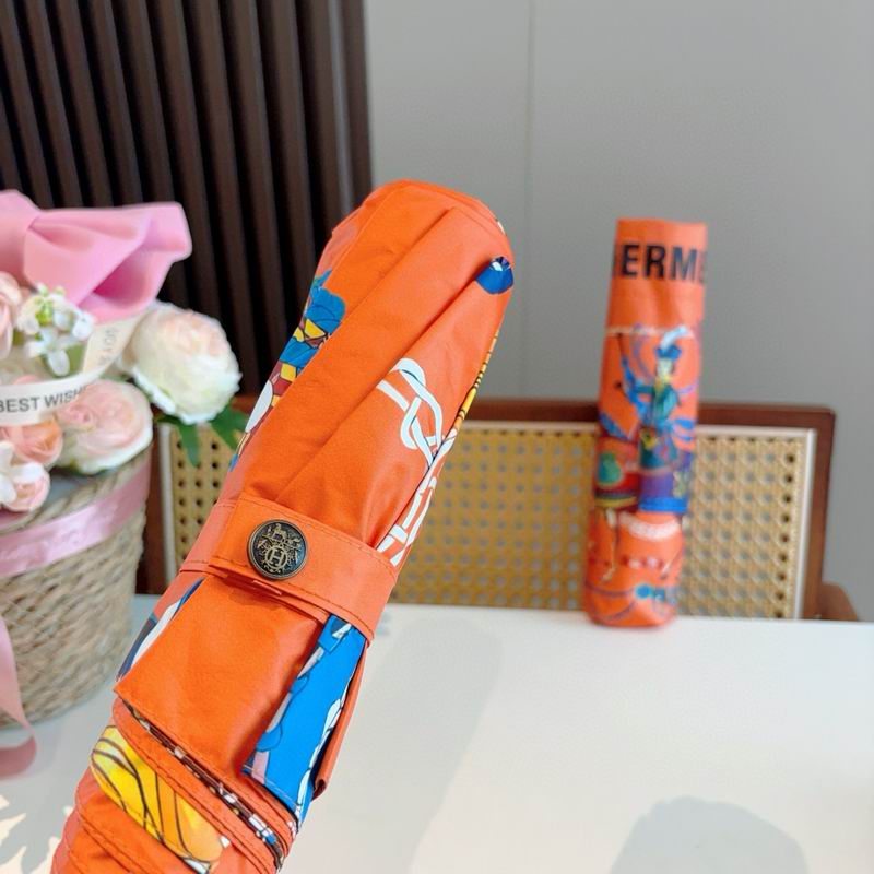 Hermes Umbrella (12)