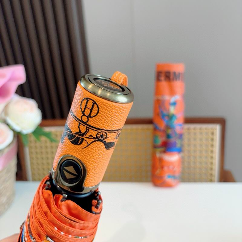 Hermes Umbrella (13)