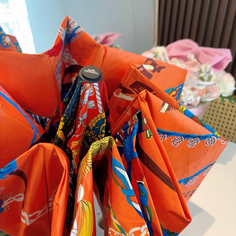 Hermes Umbrella (14)