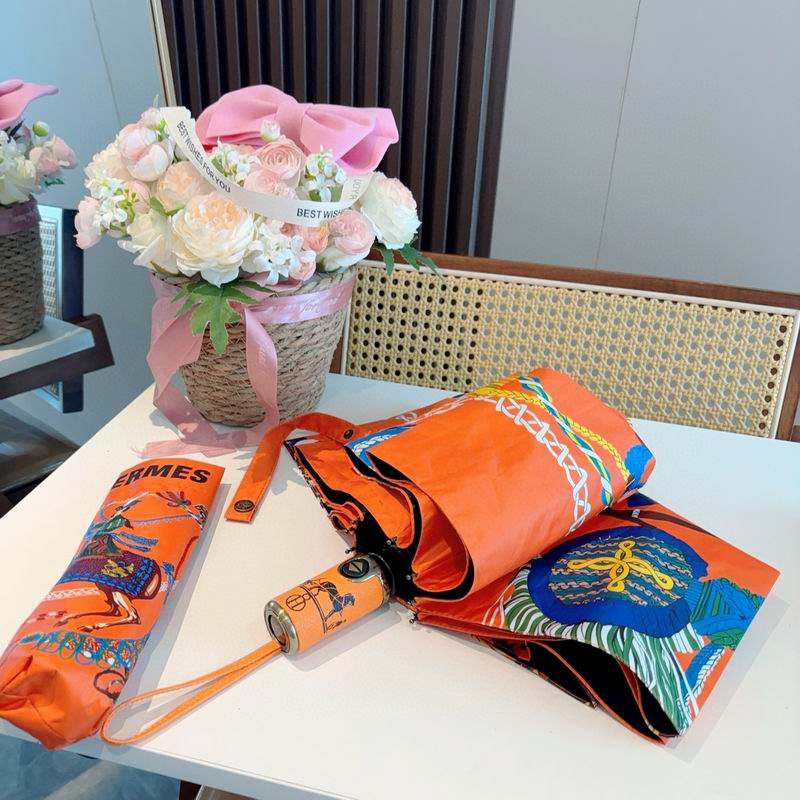 Hermes Umbrella (15)