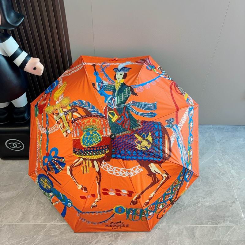 Hermes Umbrella (16)