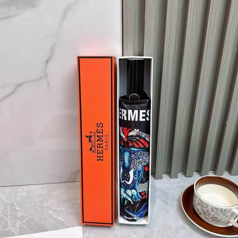 Hermes Umbrella (161)